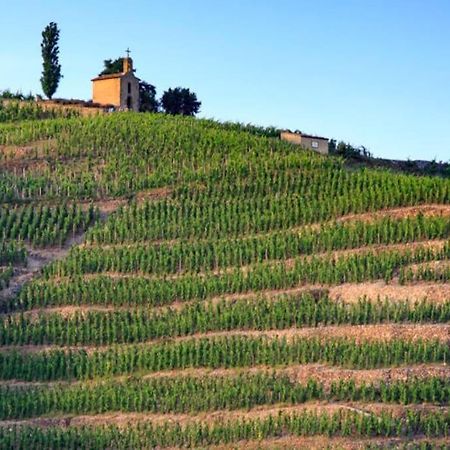 Pres Des Vignes Apartment Crozes-Hermitage Luaran gambar