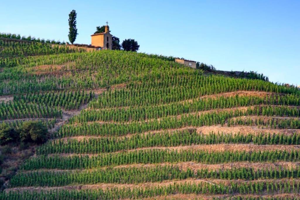 Pres Des Vignes Apartment Crozes-Hermitage Luaran gambar