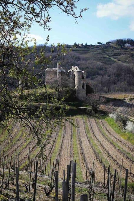 Pres Des Vignes Apartment Crozes-Hermitage Luaran gambar